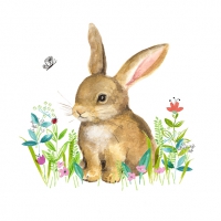 Servietten 33x33 cm - Little Bunny 