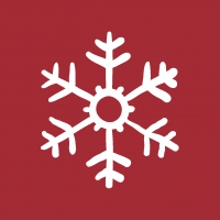 Servietten 24x24 cm - Red Snowflakes