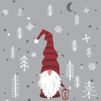Servietten 33x33 cm - Tomte Med Luva