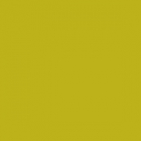 Dunisoft Servietten 40x40 cm - kiwi Dunisoft Servietten 40x40 cm - kiwi