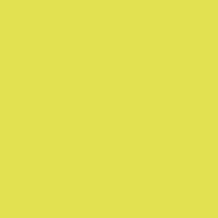 Dunisoft Servietten 20x20 cm - kiwi