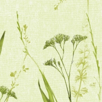 Zelltuch Servietten 33x33 cm - Liz