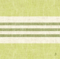 Dunisoft Servietten 40x40 cm - Raya kiwi
