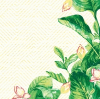 Dunisoft Servietten 40x40 cm - Banas