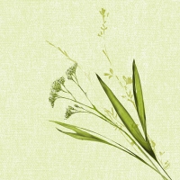 Dunisoft Servietten 40x40 cm - Liz