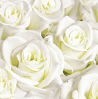 Dunisoft Servietten 40x40 cm - White Dreams