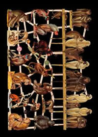 Glanzbilder - Affen Glanzbilder - Affen