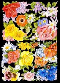 Glanzbilder - greller Rosenbogen Glanzbilder - greller Rosenbogen