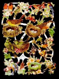 Glanzbilder - Vogelnester