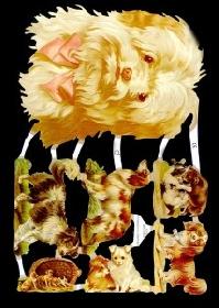 Glanzbilder - Hunde Glanzbilder - Hunde