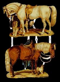 Glanzbilder - 2 Pferde Glanzbilder - 2 Pferde