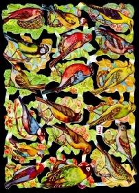 Glanzbilder - grelle Vögel Glanzbilder - grelle Vögel