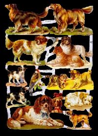 Glanzbilder - Hunde