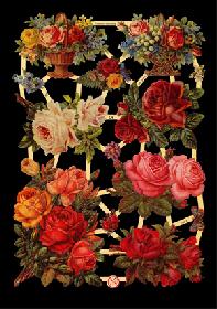 Glanzbilder - Rosen,Jugendtraum Glanzbilder - Rosen,Jugendtraum