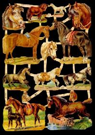 Glanzbilder - Pferde Glanzbilder - Pferde