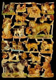 Glanzbilder - Hunde Glanzbilder - Hunde