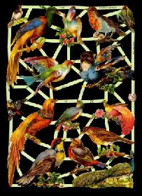 Glanzbilder - Vögel