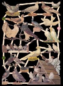 Glanzbilder - Tauben und Blumen Glanzbilder - Tauben und Blumen