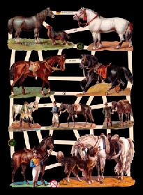 Glanzbilder - Pferde Glanzbilder - Pferde