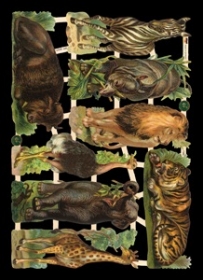 Glanzbilder - Waldtiere Glanzbilder - Waldtiere