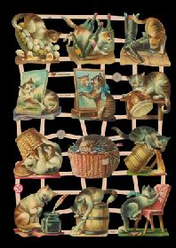 Glanzbilder - Katzen Glanzbilder - Katzen