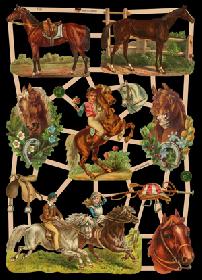 Glanzbilder - Pferde Glanzbilder - Pferde