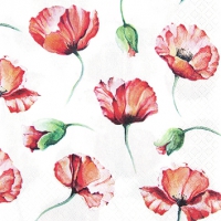 Servietten 25x25 cm - Poppy Drawing Servietten 25x25 cm - Poppy Drawing