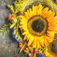 Servietten 25x25 cm - Sunny Autumn