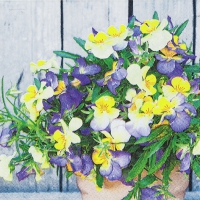 Servietten 25x25 cm - Pansy Mix
