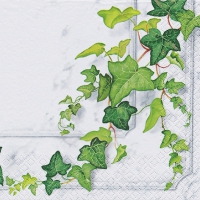 Servietten 33x33 cm - Efeuranke Servietten 33x33 cm - Efeuranke