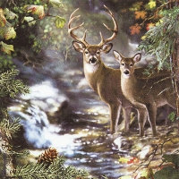 Servietten 33x33 cm - Deers on a Creek