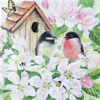 Servietten 33x33 cm - Birds and Blossom Servietten 33x33 cm - Birds and Blossom