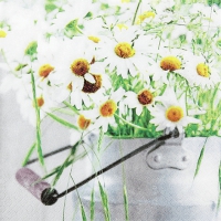 Servietten 33x33 cm - A Bunch of Daisies Servietten 33x33 cm - A Bunch of Daisies