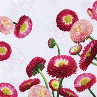 Servietten 33x33 cm - Tausendschön