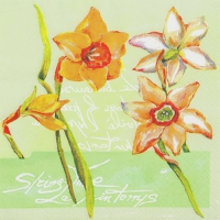 Servietten 33x33 cm - Daffodil in Spring Servietten 33x33 cm - Daffodil in Spring