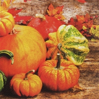 Servietten 33x33 cm - Pumpkins