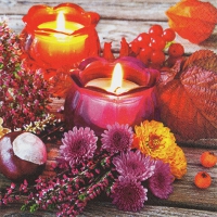 Servietten 33x33 cm - Autumn Lantern