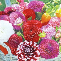 Servietten 33x33 cm - Dahlia Basket