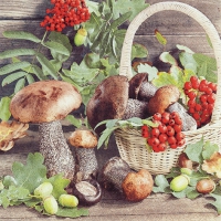 Servietten 33x33 cm - Fall Season