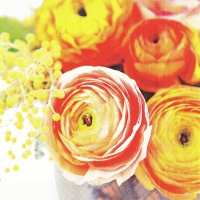 Servietten 33x33 cm - Beauty of Ranunculus