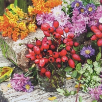 Servietten 33x33 cm - Rosehip