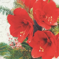Servietten 33x33 cm - Red Amaryllis Servietten 33x33 cm - Red Amaryllis