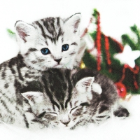 Servietten 33x33 cm - Christmas Cats Servietten 33x33 cm - Christmas Cats