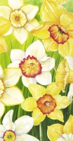 Buffet Servietten - DAFFODILS FIELD