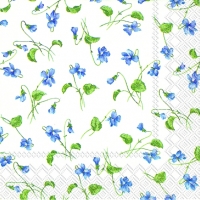 Servietten 25x25 cm - VIOLA RIVINIANA white Servietten 25x25 cm - VIOLA RIVINIANA white