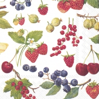 Servietten 25x25 cm - FRUITS OF SUMMER