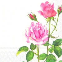 Servietten 25x25 cm - A ROSE FOR YOU