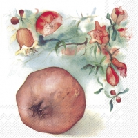 Servietten 25x25 cm - POMEGRANATE