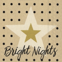 Servietten 25x25 cm - bright nights