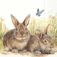 Servietten 25x25 cm - BUNNY AND CLYDE Servietten 25x25 cm - BUNNY AND CLYDE
